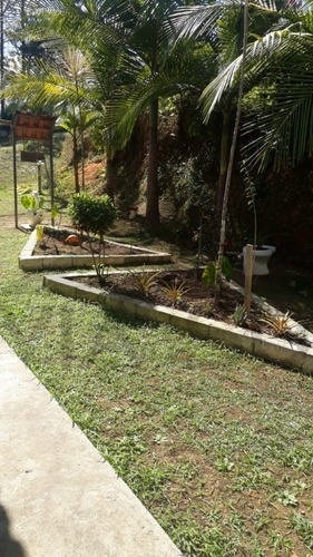 Imagem 9 de 29 de Chácara À Venda Em Juquitiba - 454 - 68738272
