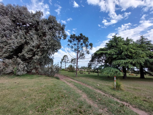 Campo Mixto Con Mejoras