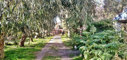 Imagen 9 de 26 de 1/4 De Manzana En Block O Separado