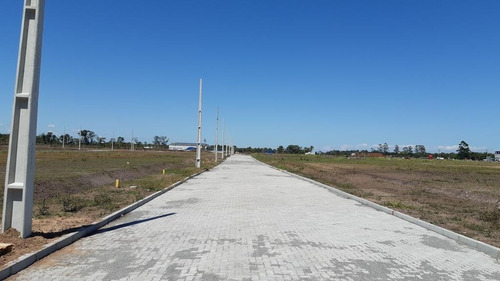 Imagem 8 de 20 de Terreno No Colegio Agricola Com 0 Quartos Para Venda, 240 M² - Ft1340