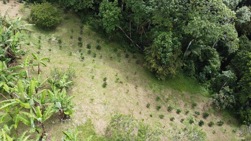 Imagen 15 de 22 de N.m. Finca En Venta En Capacho