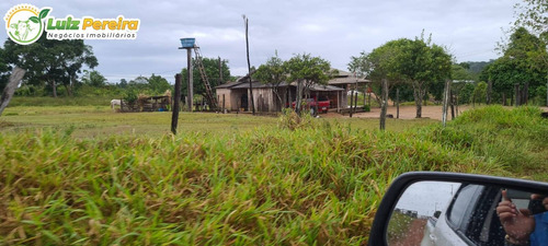 Imagem 7 de 15 de Fazenda À Venda Em Breu Branco - Pa 1.377 Hectares (dupla Aptidão) - 2271