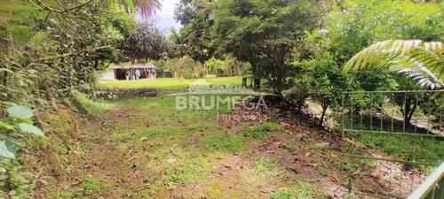 Imagem 2 de 10 de Sitio Com Ribeirão E Lagoa - 4094