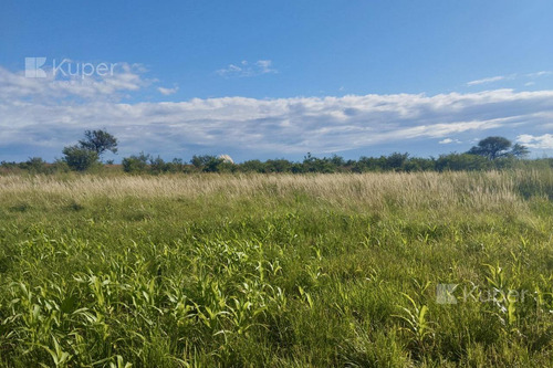 Campo En Venta 74 Has En Juan Jorba San Luis A 5km De Ruta Nac 8