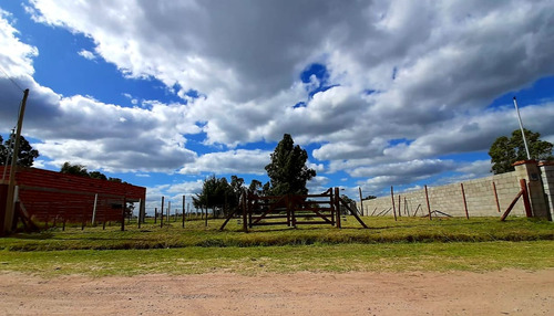 Terreno En Venta