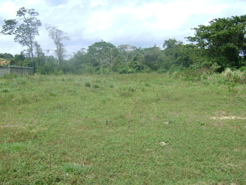 Imagen 10 de 13 de Terreno En Venta Via Sotillo Colinas De Ibiza Higuerote Riv#5548