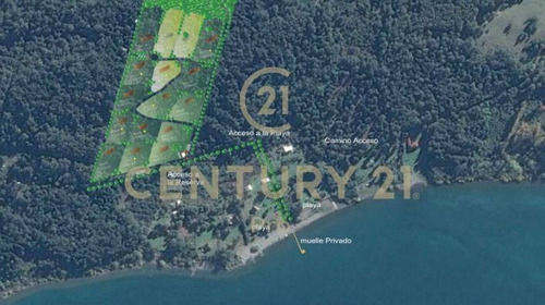 Imagen 7 de 9 de Venta Parcela Ribera Norte Lago Villarrica