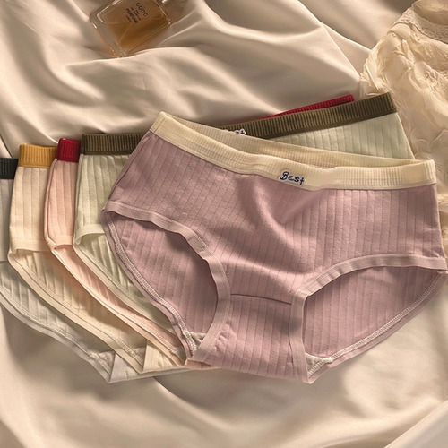 10 Packs Calzoncillos De Algodón De Talla Grande Para Mujer