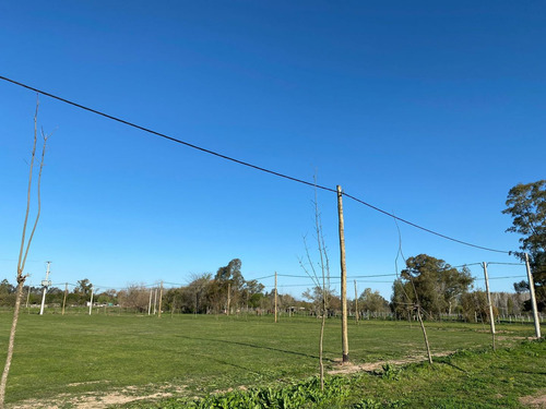 Terreno En Venta En Lobos
