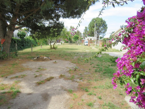 Imagen 19 de 20 de Venta Casa Y Apartamento Un Mismo Padrón Zona Lagomar
