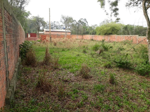 Imagem 5 de 7 de Terreno - Te00036 - 32893250