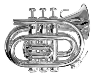 Trompeta Fanpro Treh11 Pocket Sib Plateada Con Estuche