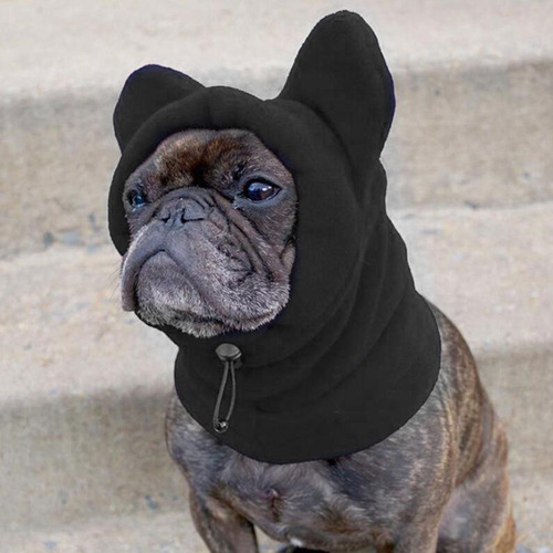 Conjunto De Gorro Y Bufanda De Invierno Para Perros, M