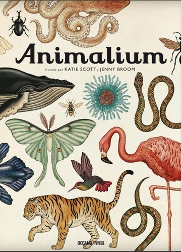 Animalium - Katie Scott - Jenny Broom