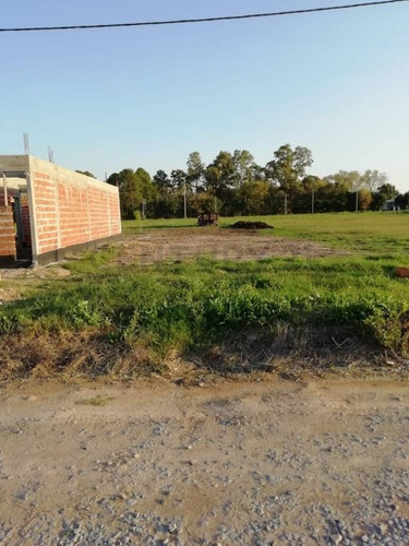 Imagen 5 de 30 de 486 Y 147. Lote De 990 M2 En Venta - Fincas De Gorina.-