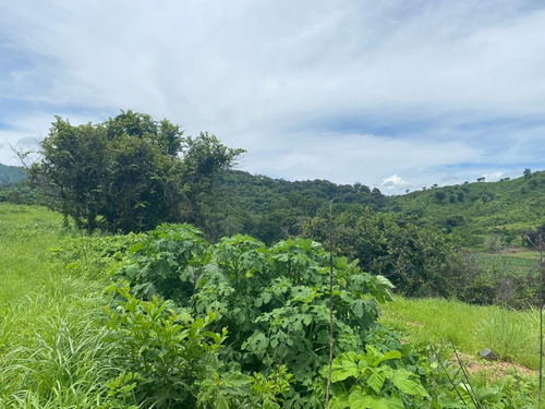 Oportunidad De Inversión En Chiapas: Rancho De 10 Hectáreas Con Documentación Al Día Y Plusvalía En Crecimiento