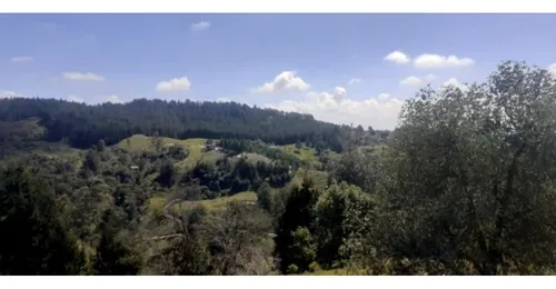 Lote En Vender En Rionegro