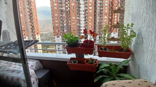 Apartamento Iluminado, Fresco Y Cómodo En Puerta Madera