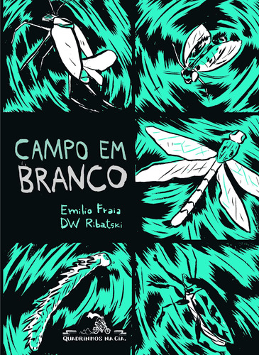 Campo em branco, de Fraia, Emilio. Editora Schwarcz SA, capa mole em português, 2013