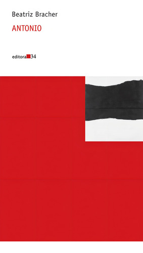 Antonio, de Bracher, Beatriz. Coleção Nova Prosa Editorial Editora 34 Ltda., capa mole em português, 2010