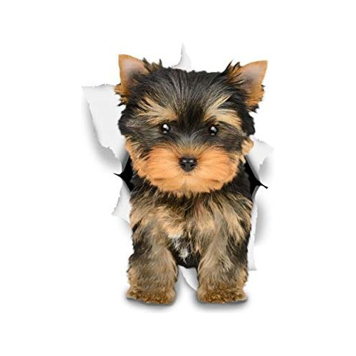 Winston Bear 3d Pegatinas Perros, 2 Unidades, Adorables...