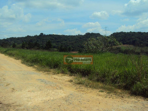 Imagem 1 de 10 de Terreno 300m² - Ibiúna - Te0007