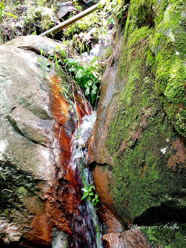 Increíble Terreno Con Manantial
