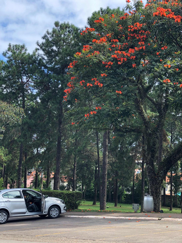 Jazigo Jardim Da Colina São Bernardo