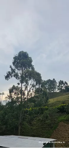 Lote En Venta En Vereda La Amapola. Cod V11663