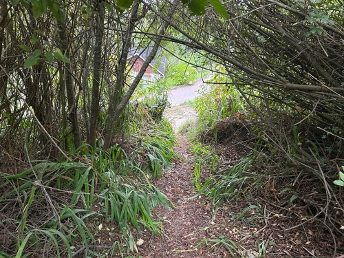 Sitio En Venta En Frutillar