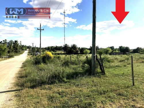 Venta Terreno En Trinidad Flores 8000 M2 40 Mts X 200 Mts