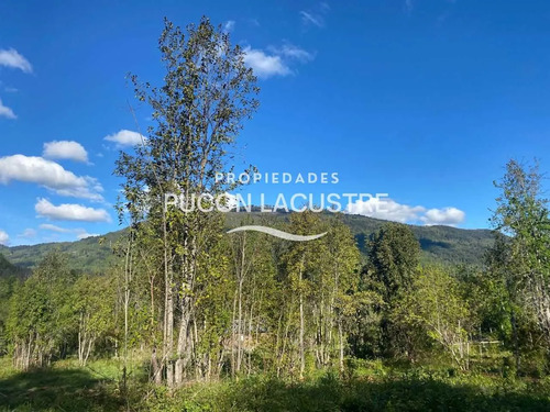 Parcela Sector Pte Luengo Caburga (agua/luz) (170307)