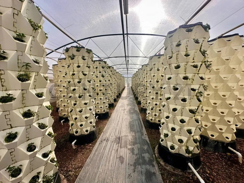 Inversión Agroindustrial Lista Para Operar | 1 Hectárea T...