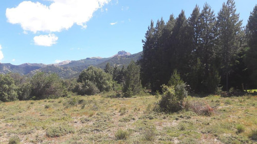 Imagen 7 de 9 de Terreno De 1500 M2 A 15 Metros Del Arroyo
