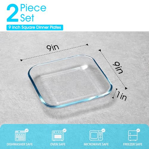 Juego De 2 Platos De Vidrio Templado 23 Cm Vajilla Lavavaj