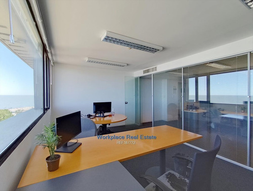 Imagen 7 de 30 de Alquiler Y Venta - Oficina En Palermo