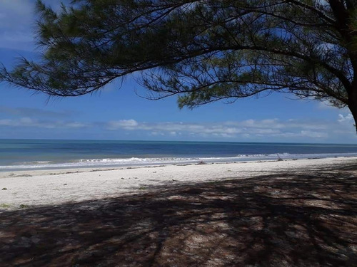 Imagen 16 de 19 de Terreno En Privada Punta Del Este