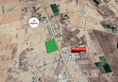 Terreno De Usos Mixtos En Venta En Gomez Palacio