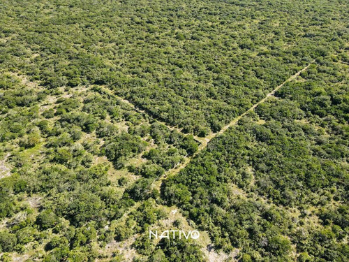 Imagen 9 de 30 de Terreno En Venta En Yucatan A 9 Min De La Playa Telchac Nati