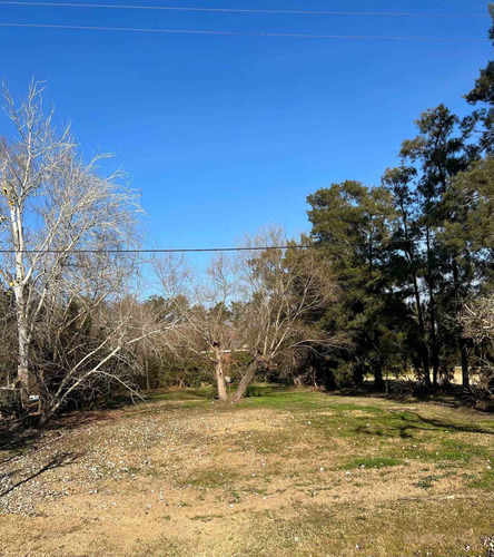 Imagen 6 de 15 de Lote Terreno Venta Mil Metros Excelente