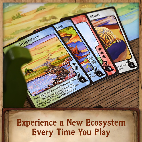 North Star Games Evolution: Juego De Mesa No Empotrado Del Clima, Cada Juego Se Convierte En Una Aventura Diferente