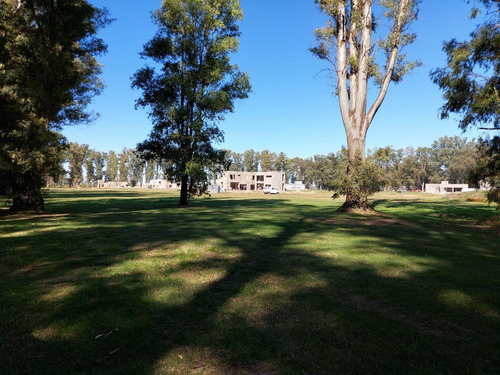 Imagen 2 de 15 de Venta-terreno - Los Tres Pinos-gral Rodriguez-oportunidad!!! Ideal Inversion