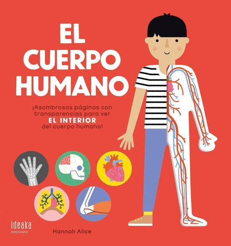 Libro: El Cuerpo Humano. Hannah,alice. Editorial Luis Vives 