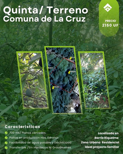 Terreno Quinta Sector Residencial La Cruz 700 Mt2 Con Paltos