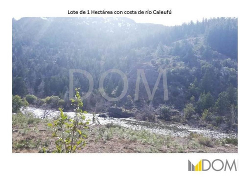 Imagen 6 de 13 de Impresionante Lote De 1ha Con Costa De Río