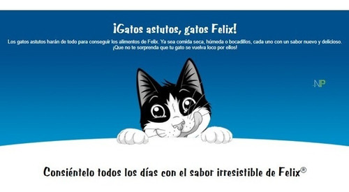 Pack 48 Unidades Felix Lata Filetes Pescado Y Atun 156gr. Np
