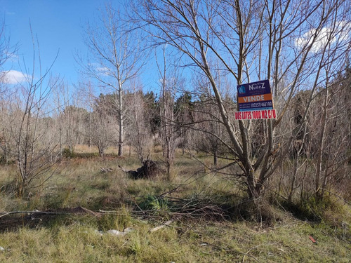 Terreno En Venta En San Bernardo