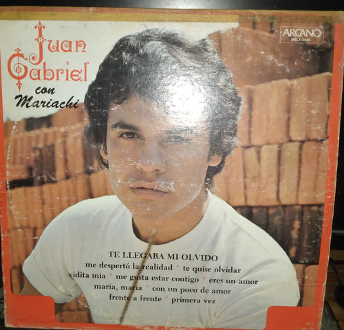 Juan Gabriel / Con Mariachi / Vinilo / Usado C