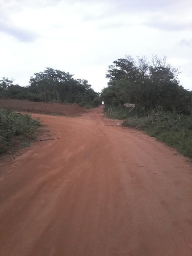 Imagem 19 de 19 de Chácara À Venda, Marilandia - Marilandia/mg - 18420
