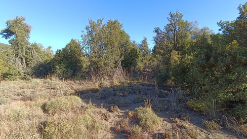 Lote Plano En Villa Quilquihue, Lolog